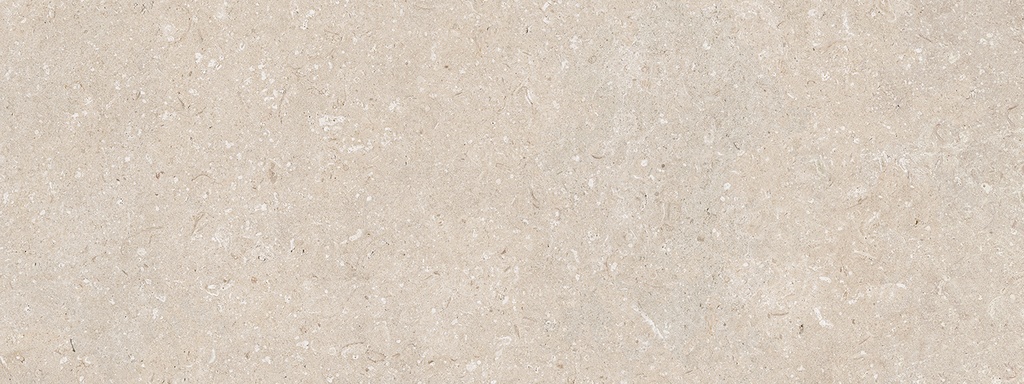 CORAL CALIZA 45X120(A)