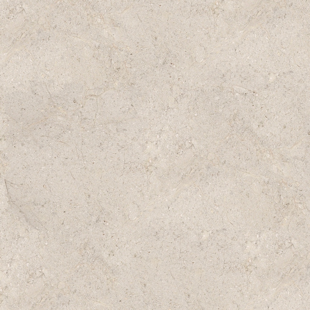 DORCIA BONE ANT.L 120X120(A)